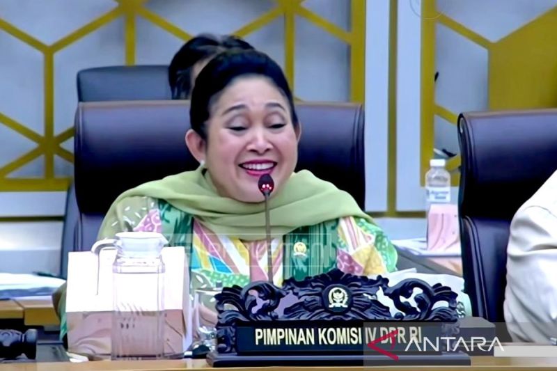 Swasembada Bawang Putih Tanpa Impor Ilustrasi swasembada bawang putih untuk artikel Titiek Minta Swasembada Bawang Putih Dicapai Tanpa Impor