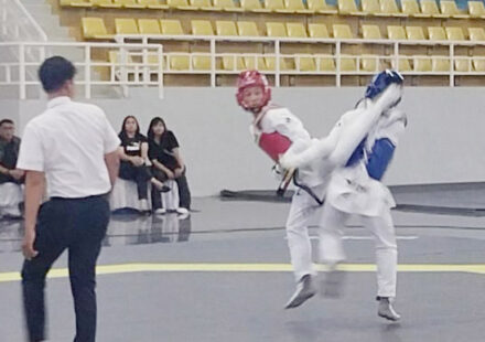 Ilustrasi kejuaraan taekwondo asia untuk artikel Kejuaraan Taekwondo Asia 2026 Didorong Dongkrak Ekonomi Jakarta