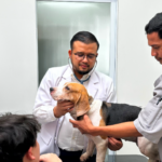 Ilustrasi bpjs ketenagakerjaan dokter hewan untuk artikel PDHI Jabar V Pelopori BPJS Ketenagakerjaan Dokter Hewan